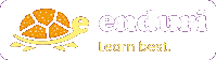 Enduri logo